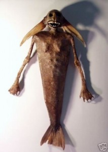 Obrázok