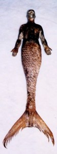 Obrázok